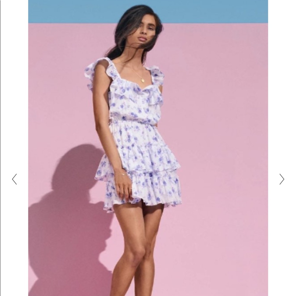 NWT Love Shack Fancy x Target Dress